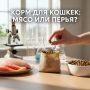 Что скрывают упаковки кошачьего корма: правда или миф?
