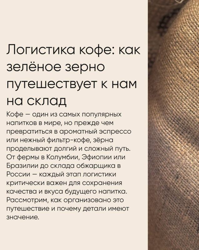 Логистика кофейного зерна: от плантации до готовой чашки
